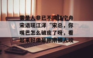 雾是人非已不同江宁舟宋语瑶江泽“宋总，你嘴巴怎么破皮了呀，看起来好像是刚刚被人咬
