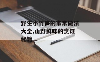 野生小竹笋的家常做法大全,山野鲜味的烹饪秘籍