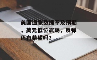 美国通胀数据不及预期，美元低位震荡，反弹还有希望吗？