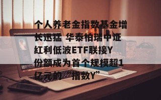 个人养老金指数基金增长迅猛 华泰柏瑞中证红利低波ETF联接Y份额成为首个规模超1亿元的“指数Y”