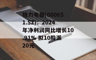 格力电器(000651.SZ)：2024年净利润同比增长10.91% 拟10股派20元