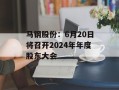 马钢股份：6月20日将召开2024年年度股东大会