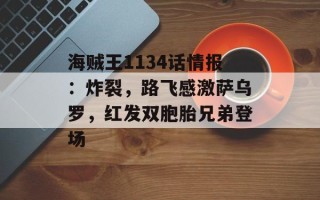 海贼王1134话情报：炸裂，路飞感激萨乌罗，红发双胞胎兄弟登场