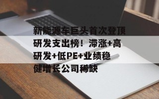 新能源车巨头首次登顶研发支出榜！滞涨+高研发+低PE+业绩稳健增长公司稀缺