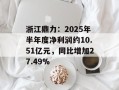 浙江鼎力：2025年半年度净利润约10.51亿元，同比增加27.49%