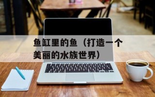 鱼缸里的鱼（打造一个美丽的水族世界）