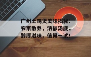 广州土鸡煲美味揭秘：农家散养，浓郁汤底，醇厚滋味，值得一试！