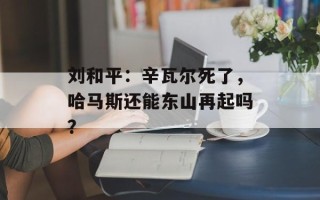 刘和平：辛瓦尔死了，哈马斯还能东山再起吗？