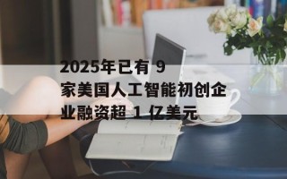 2025年已有 9 家美国人工智能初创企业融资超 1 亿美元