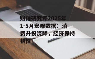 财信研究评2025年1-5月宏观数据：消费升投资降，经济保持韧性