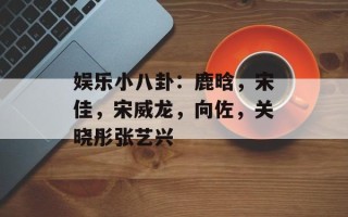 娱乐小八卦：鹿晗，宋佳，宋威龙，向佐，关晓彤张艺兴