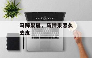 马蹄果属，马蹄果怎么去皮