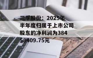 三孚股份：2025年半年度归属于上市公司股东的净利润为38458409.75元