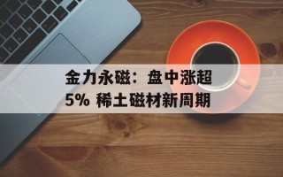 金力永磁：盘中涨超 5% 稀土磁材新周期