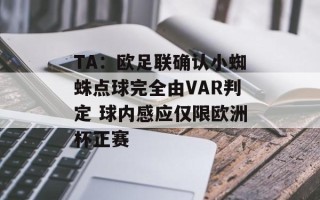 TA：欧足联确认小蜘蛛点球完全由VAR判定 球内感应仅限欧洲杯正赛