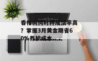 香椿树何时种成活率高？掌握3月黄金期省60%养护成本