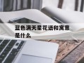 蓝色满天星花语和寓意是什么
