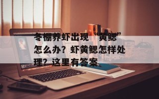 冬棚养虾出现“黄鳃”怎么办？虾黄鳃怎样处理？这里有 *** 