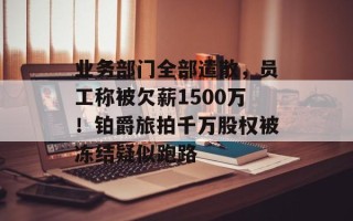 业务部门全部遣散，员工称被欠薪1500万！铂爵旅拍千万股权被冻结疑似跑路