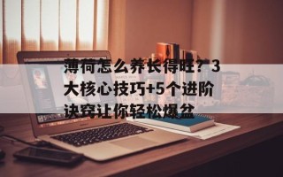 薄荷怎么养长得旺？3大核心技巧+5个进阶诀窍让你轻松爆盆