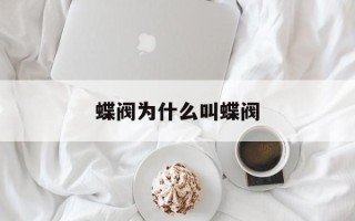 蝶阀为什么叫蝶阀