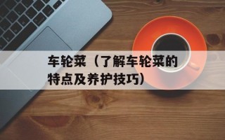 车轮菜（了解车轮菜的特点及养护技巧）