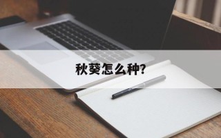 秋葵怎么种？