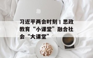 习近平两会时刻丨思政教育“小课堂”融合社会“大课堂”