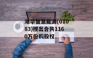 港华智慧能源(01083)授出合共1160万份购股权