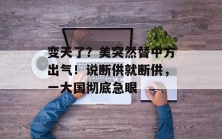 变天了？美突然替中方出气！说断供就断供，一大国彻底急眼