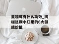 蔓越莓有什么功效_揭秘这颗小红果的6大健康价值