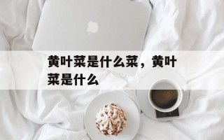 黄叶菜是什么菜，黄叶菜是什么
