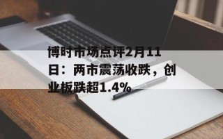 博时市场点评2月11日：两市震荡收跌，创业板跌超1.4%