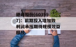 继峰股份(603997)：前期投入增加致利润承压期待规模效益释放