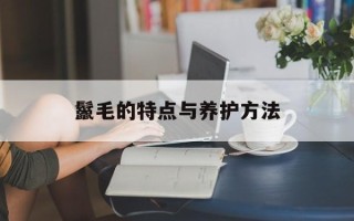 鬣毛的特点与养护方法
