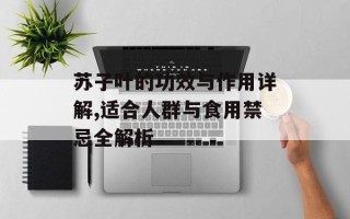 苏子叶的功效与作用详解,适合人群与食用禁忌全解析