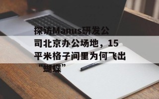探访Manus研发公司北京办公场地，15平米格子间里为何飞出“蝴蝶”