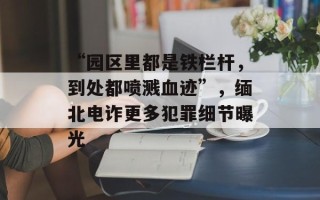 “园区里都是铁栏杆，到处都喷溅血迹”，缅北电诈更多犯罪细节曝光