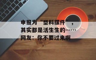 申报为“塑料摆件”，其实都是活生生的……网友：你不要过来啊