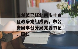 陈龙波已任北京市丰台区政府党组成员，市公安局丰台分局党委书记、局长