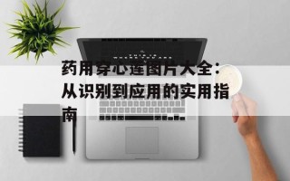 药用穿心莲图片大全：从识别到应用的实用指南