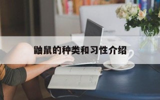 鼬鼠的种类和习性介绍