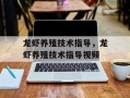 龙虾养殖技术指导，龙虾养殖技术指导视频