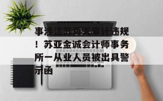 事涉江苏舜天审计违规！苏亚金诚会计师事务所一从业人员被出具警示函