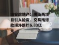 瑞安房地产：佛山两项目引入险资，交易所得款项净额约6.83亿元