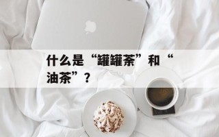 什么是“罐罐荼”和“油茶”？