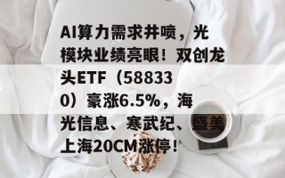 AI算力需求井喷，光模块业绩亮眼！双创龙头ETF（588330）豪涨6.5%，海光信息、寒武纪、盛美上海20CM涨停！