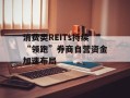 消费类REITs持续“领跑”券商自营资金加速布局