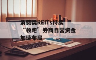 消费类REITs持续“领跑”券商自营资金加速布局