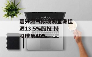 嘉兴燃气拟收购星洲佳源13.5%股权 持股增至40%